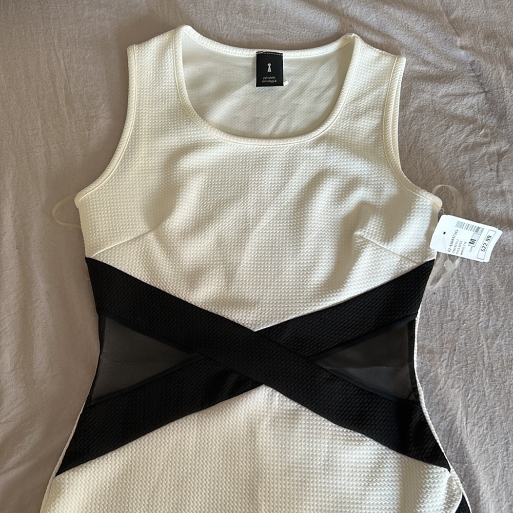 Privately Privileged Mesh Cut out Black and White Mini Dress Size: Medium